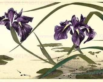 Antigua ilustración botánica japonesa del siglo XIX de flores de iris junto a un estanque lleno de renacuajos 5x7 Tarjeta de felicitación