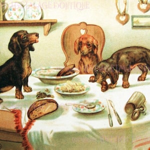 Adorável ilustração antiga da década de 1920 de três dachshunds atrevidos roubando da mesa de jantar, cartão comemorativo para cães 5x7