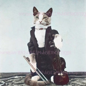 Antikes handgetöntes Foto einer hübschen getigerten Katze, die in einem Smoking gekleidet ist und eine Geige spielt Katzen Haustier 5x7 Grußkarte