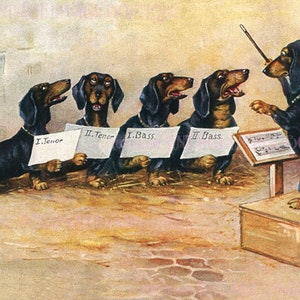 Adorable ilustración antigua de los años 20 de un cuarteto de perros salchicha negros y fuego cantando en la práctica del coro Tarjeta de felicitación para perros 5x7