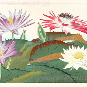 Antique  19th Century Japanese Botanical Illustration Of Water Lilies In Bloom  5x7 Greeting Card
