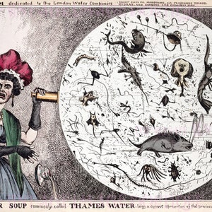 Ancienne illustration satirique politique de sensibilisation à la santé pour l'eau de la Tamise à Londres, carte de voeux médicale scientifique 5 x 7
