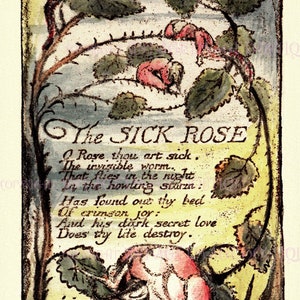 Laat 18e-eeuws verlicht gedicht, de zieke roos van de Engelse schilder en dichter William Blake 5 x 7 wenskaart