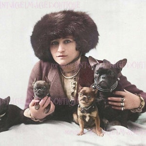Fotografía eduardiana antigua teñida a mano de una joven elegante con su adorable bulldog francés y tres cachorros tarjeta de felicitación 5x7