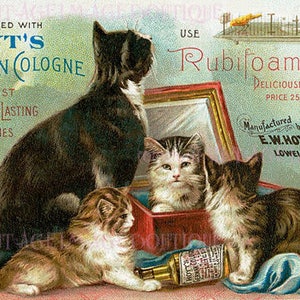Anúncio de colônia com pó dental e perfume vitoriano antigo, ilustração de um gato com gatinhos brincalhões, cartão comemorativo 5x7