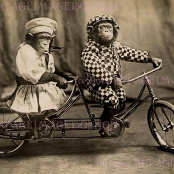 Tandem Bike Art - Etsy UK