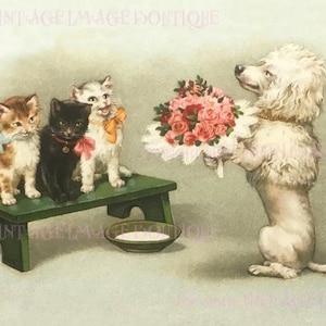 Antique Adorable Victorian Illustration Of Three Fluffy Kittens Presented With A Bouquet Of Pink Roses By A White Poodle 5x7 Greeting Card