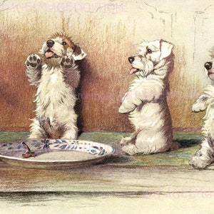 Ilustración vintage de los años 30 de tres adorables cachorros de terrier desaliñados pidiendo otra tarjeta de felicitación Chop Pet Dogs 5x7