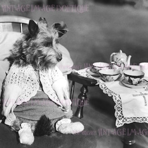 Vintage 1930er Jahre Foto eines entzückenden Scruffy Terrier Hundes, der Tee nimmt 5x7 Grußkarte