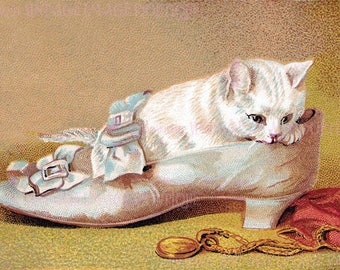 Antique Victorian Illustration Of An Adorable White Kitten Sitting In A Silk Slipper  5x7 Greeting Card