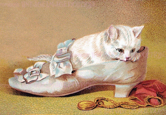 Antique Victorian Illustration Of An Adorable White Kitten Sitting In A Silk Slipper  5x7 Greeting Card