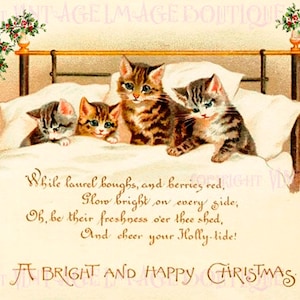 Ancienne illustration édouardienne de quatre adorables chatons tigrés nichés dans son lit Noël saison solstice d'hiver vacances 5 x 7 carte de voeux