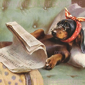 Adorable illustration antique des années 1920 d'un teckel noir et feu qui se sent sous le mauvais temps Carte de voeux pour chien 5 x 7