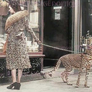 Vintage 1930 Foto Einer Frau in schicker Kleidung mit ihrem Haustier Gepard an der Leine vor einem Geschäft in London 5x7 Grußkarte