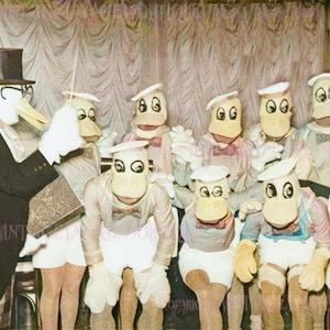 Humoristische handgekleurde foto uit de jaren 30 van een ensemble van artiesten in eendkostuums onder leiding van hun dirigent 5 x 7 wenskaart