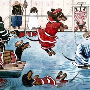 Adorable ilustración antigua de los años 20 de una docena de perros salchicha tontos en una piscina Tarjeta de felicitación de perro de 5 x 7