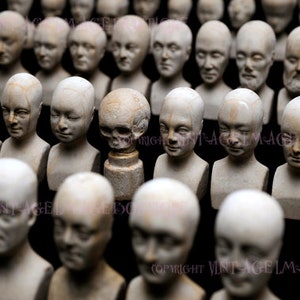 Fotografia vintage de uma coleção de miniaturas de modelos de cabeças de porcelana frenológicas, cartão de felicitações médico-científico 5x7