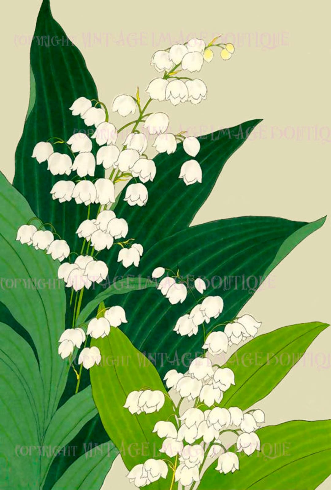 再値下げシュタイフ　Lily of the Valley il_1080xN.1388210121_khm1.jpg