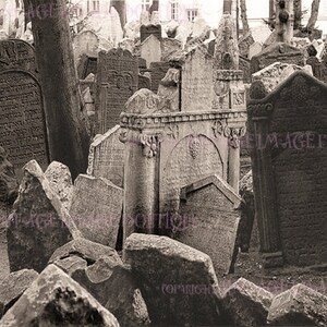 Belle photographie vintage gothique évocatrice de deuil d'un cimetière juif 5 x 7 Carte de voeux
