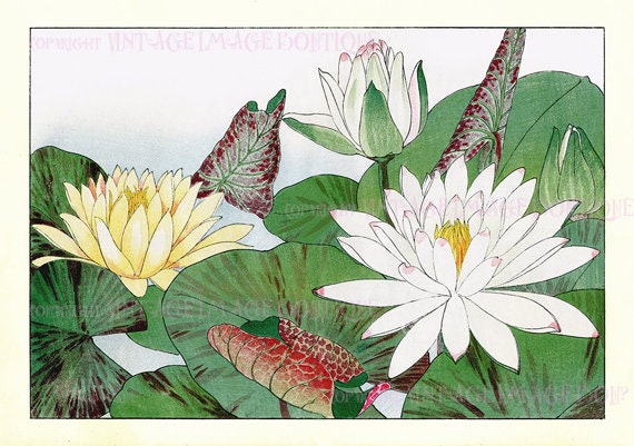 Water The Plants Art Card Water The Plants Art Card