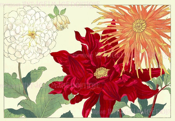 Antique 19th Century Japanese Botanical Illustration of