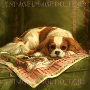 Cartão de felicitações com retrato vitoriano antigo de um adorável cão Cavalier King Charles Spaniel 5x7