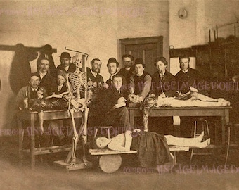 Antique Victorian Sepia Photograph Of A Medical Students In Dissection Class  Medical Scientific  5x7 Greeting Card