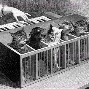 Carte de voeux antique victorienne noir et blanc illustration d'un piano katzenklavier ou chat étant joué fantasmagorique 5 x 7