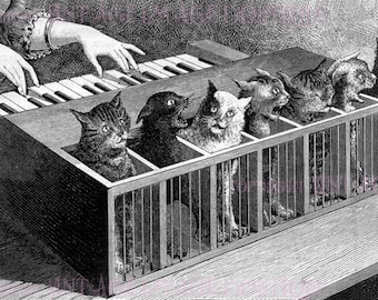 絵画。壁掛け原画【可愛い猫たちのロマンチックなピアノ演奏会】 アンティークなビクトリア朝の白黒イラスト、カッツェンクラヴィア
