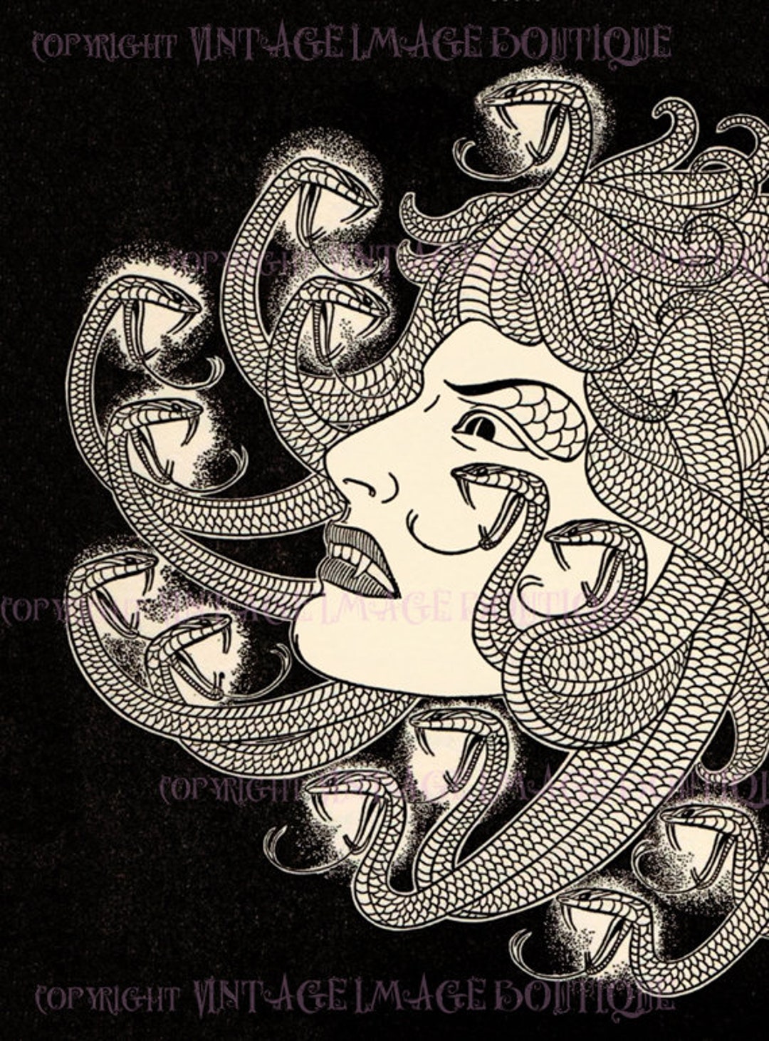 Vintage Evocative Monochrome Illustration of Medusa One of the Greek ...