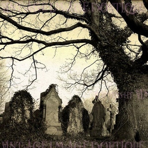 Lovely Vintage Evocative Gothic Mourning Photograph Of An English Cemetery  5x7 Greeting Card