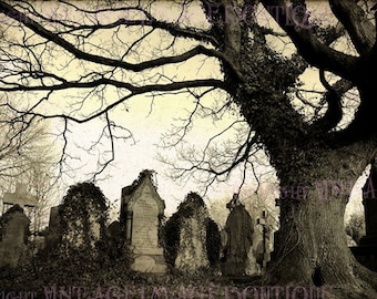 Lovely Vintage Evocative Gothic Mourning Photograph Of An English Cemetery  5x7 Greeting Card