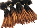 Human hair dreadlocks extensions with honey blonde tips. 10 locks per bundle product logo