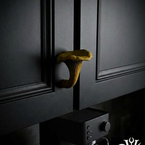 Chanterelle Mushroom Drawer Pull | Gothic Home Decor | Boho Drawer Knob | 3D Printed Hooper 3D