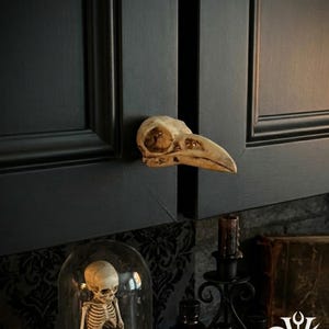 May include: A cabinet door with a bird skull handle. The skull is a light tan color and is mounted on a dark gray cabinet. The text "Dusk+Dawn Votum" is in the upper left corner. A small skeleton is in a glass dome.