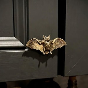 May include: A bronze-colored bat-shaped cabinet pull is mounted on a dark gray cabinet door. The bat has outstretched wings and detailed features. The text "Dusk+Dawn Votum" is in the upper left corner. The cabinet door is part of a larger cabinet.