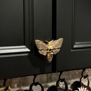May include: A gold-colored cabinet knob in the shape of a moth with a skull design. The knob is mounted on a black cabinet door. The text "Dusk+Dawn Votum" is in the upper left corner.