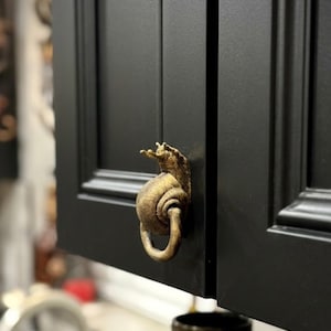 May include: Close-up of a black cabinet door with a decorative brass snail-shaped handle. The handle is detailed with a textured surface and a ring for pulling. The text "Dusk+Dawn Votum" is in the upper left corner.
