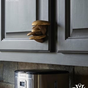 Oyster Mushroom Drawer Pull | Dark Academia & Kitchen Decor | 3D Printed | Gothic Home Decor