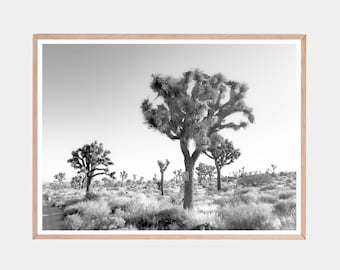 Impresión de árbol de Josué, fotografía del desierto, paisaje desértico, arte mural del suroeste, viaje por carretera en California