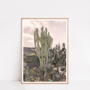 Kaktus Poster, Kaktus Art Prints, Boho Wand Dekor, Botanische Drucke, Los Angeles Poster, Natur Fotografie