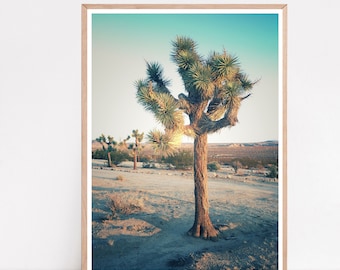 Joshua Tree-print, foto woestijnlandschap Californië, zuidwestelijk decor (digitale download)