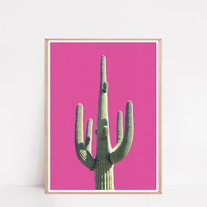 Rosa Kaktus, Southwestern Dekor, Boho Kunstdruck, Botanisches Poster, minimalistischer Druck, Kaktus Bild, Kaktus Fotografie