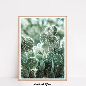 Kakteen Poster, Botanische Wandkunst, Kaktus Druck, Minimalistisches Poster, Natur Druck