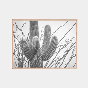 Saguaro Art, Kaktus Fotografie, Tucson Wandkunst, Wilder Westen Druck, Kaktus Poster, Reiseplakat