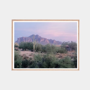 May include: A scenic view of a desert landscape with a mountain range in the background. The sky is a soft purple and pink, and there are cacti and bushes in the foreground.
