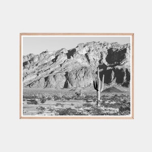Schwarzweiße Kaktusdrucke, Wüstenfotografie, Tucsondruck, Saguarodruck, Kaktusdruck Poster