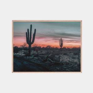 Arizona Desert Sunset, Cactus Print, Desert Wall Art, Cactus Photography