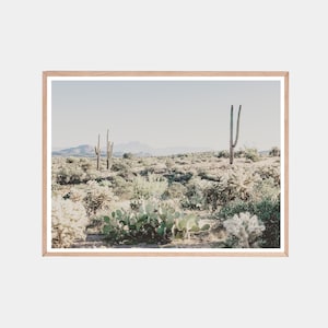 Saguaro Park, Nationalpark Poster, Kaktus Fotografie, Saguaro Kaktus Poster, Southwest Dekor