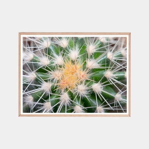 Kaktus Dekor, DIY Wandkunst, Botanische Kunst, Wüste Kunst, Kaktus Poster, Kaktus Poster